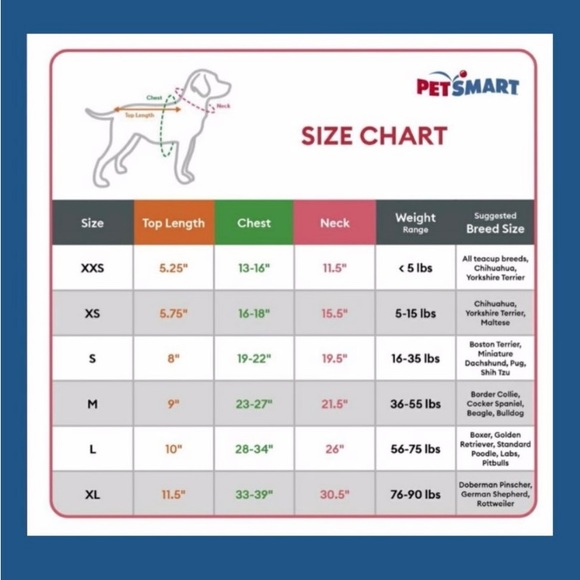 🌟🌟Host Pick🌟🌟TOP PAWS DOG HARNESS BEER THEME-size Medium-Blue - Picture 6 of 6